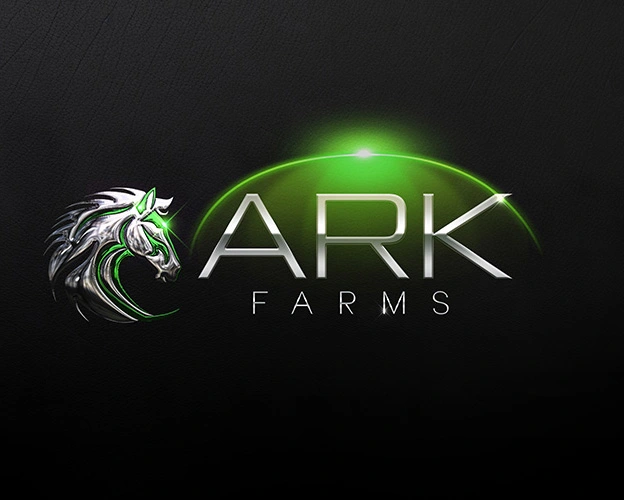 graphic design phoenix az