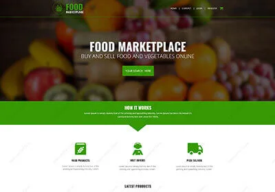 Plano Web Design Experts