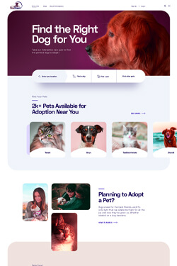 Internet Service Provider Layout Preview