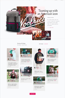 Dentist Layout Preview