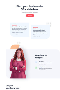 Dentist Layout Preview